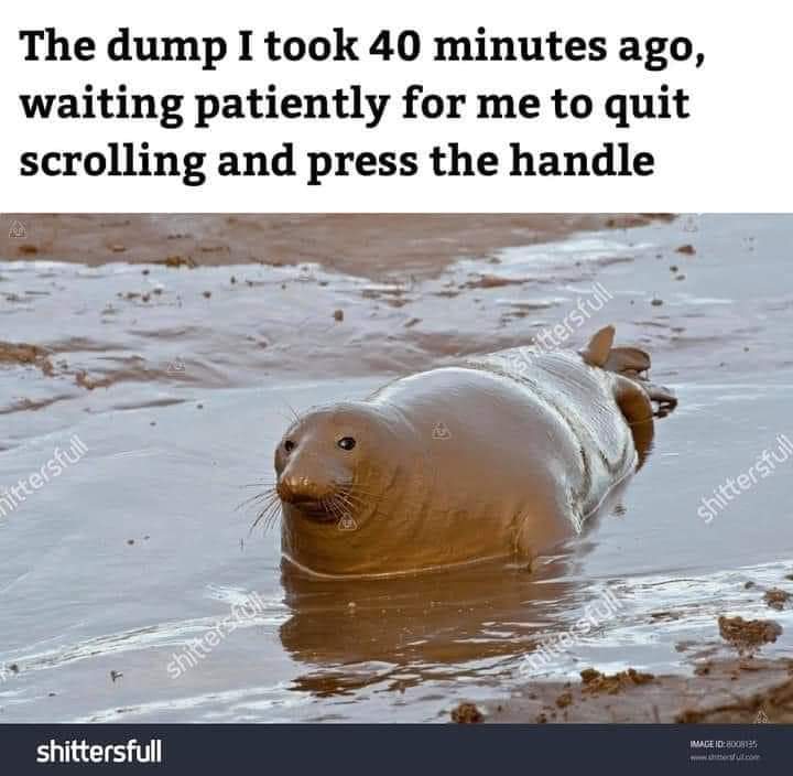 FB_IMG_1632446991480.jpg
