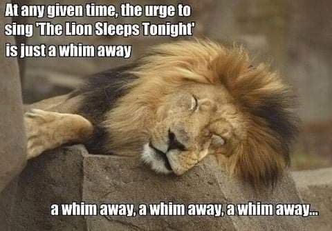 FB_IMG_1633223833722.jpg