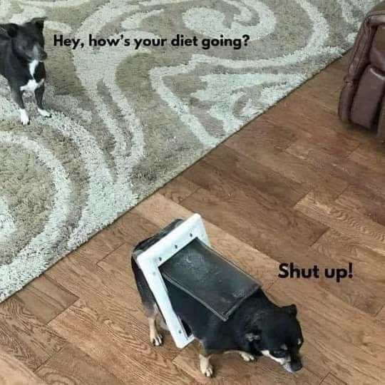 FB_IMG_1634402234319.jpg