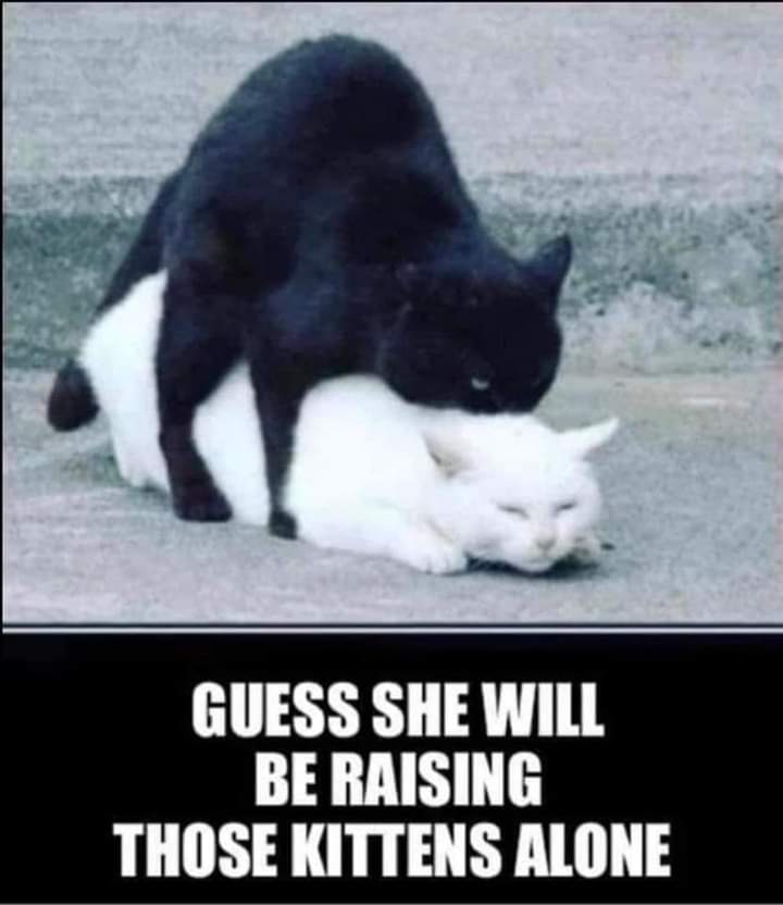 FB_IMG_1660337562770.jpg