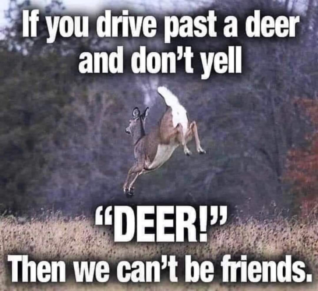 FB_IMG_1660833600501.jpg