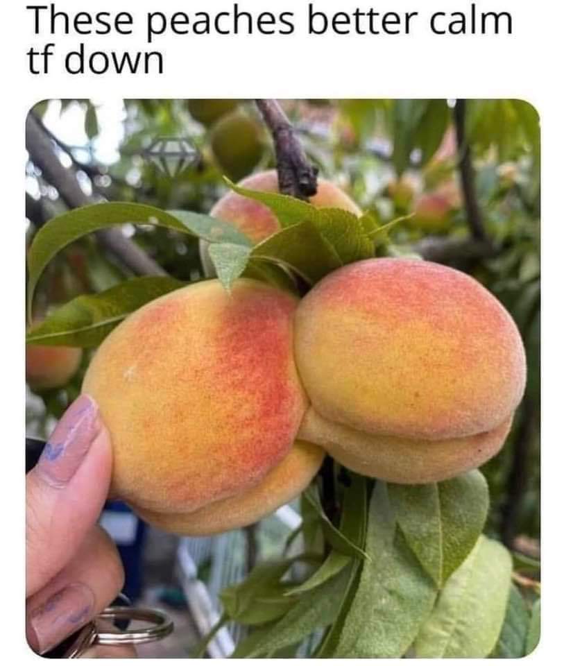 FB_IMG_1660855111992.jpg