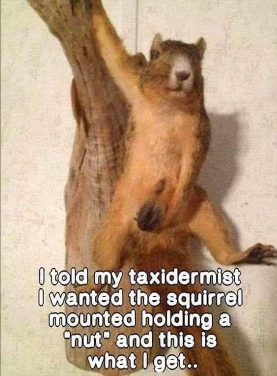 FB_IMG_1662813565883.jpg