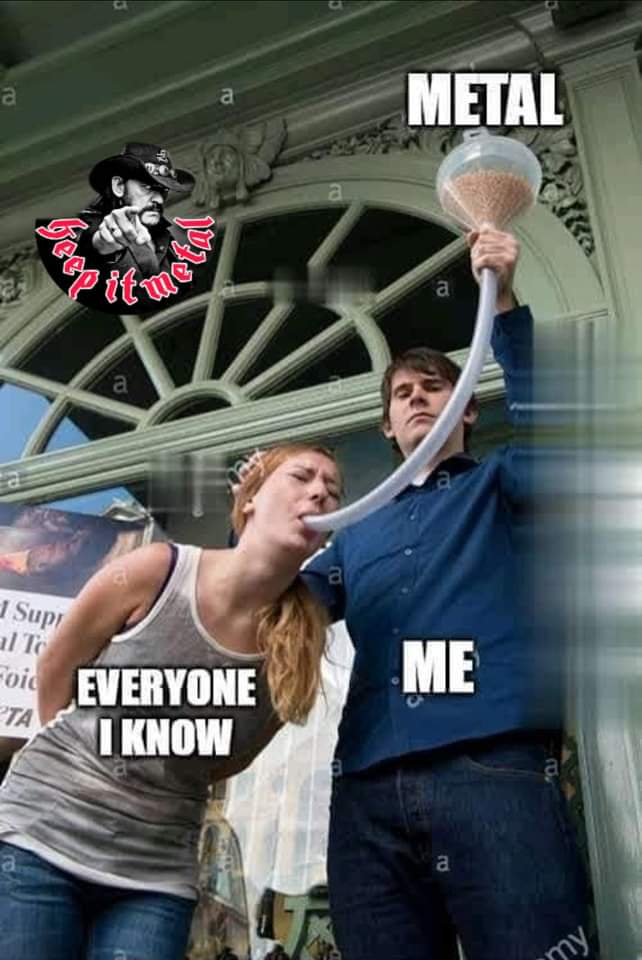 FB_IMG_1667910559165.jpg
