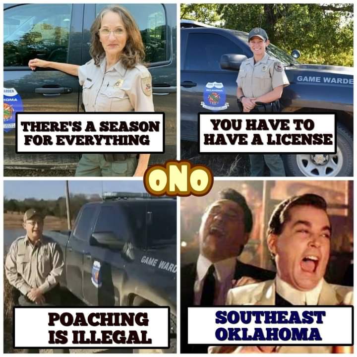 FB_IMG_1680475247601.jpg