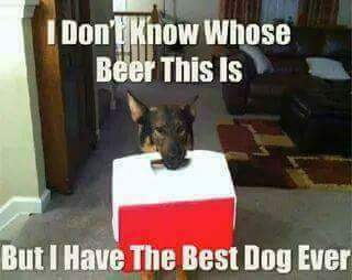 FB_IMG_1685483988816.jpg