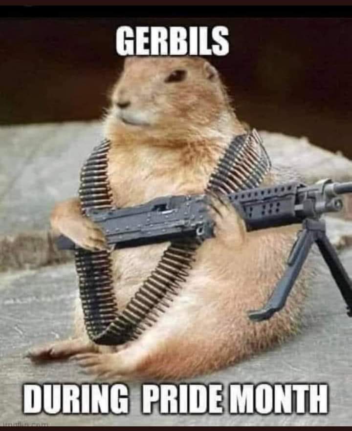 FB_IMG_1685999013139.jpeg