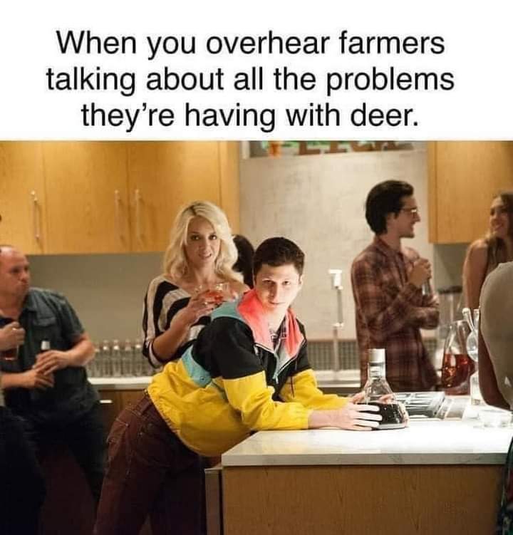FB_IMG_1690689620456.jpg
