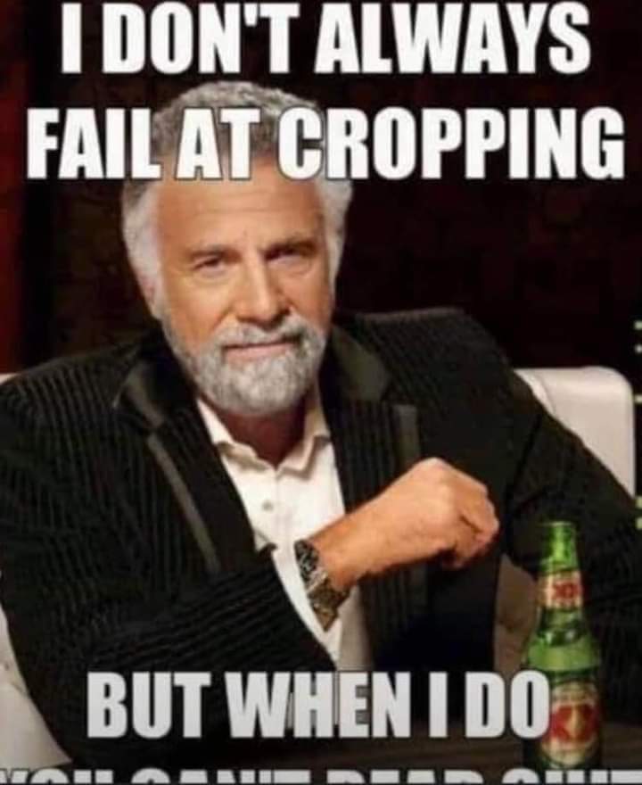 FB_IMG_1691191879917.jpg