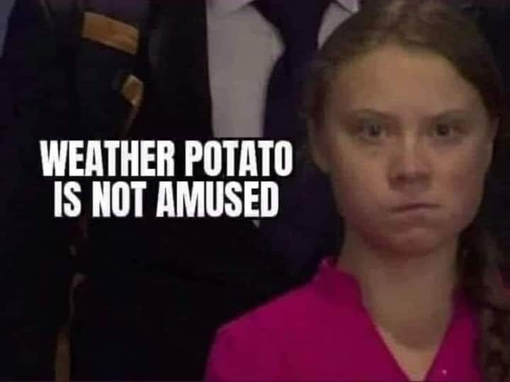 FB_IMG_1692674675158.jpg