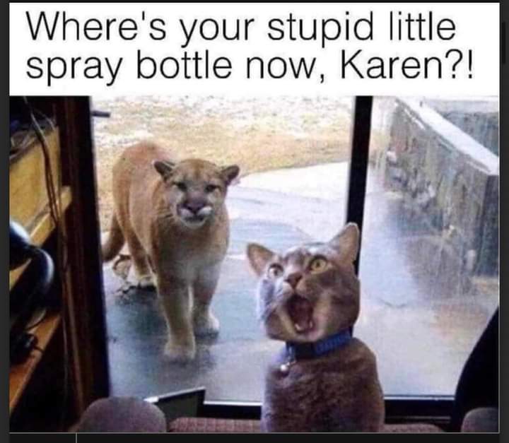 FB_IMG_1694986690606.jpg