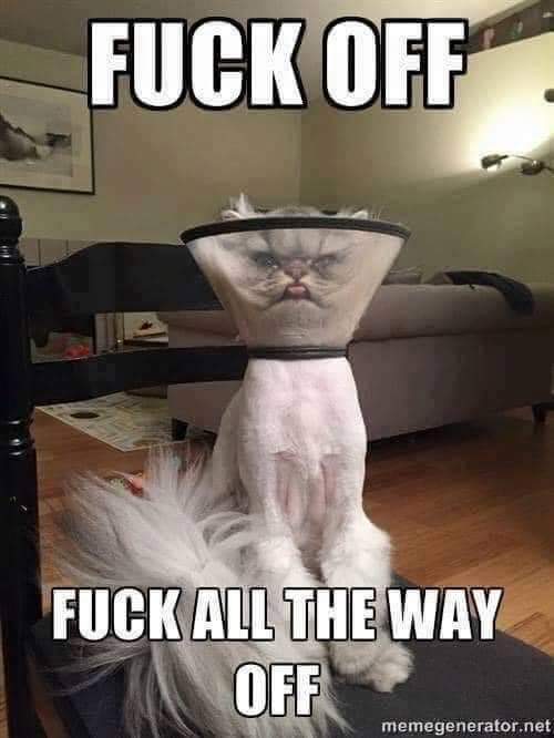 FB_IMG_1700511069587.jpg