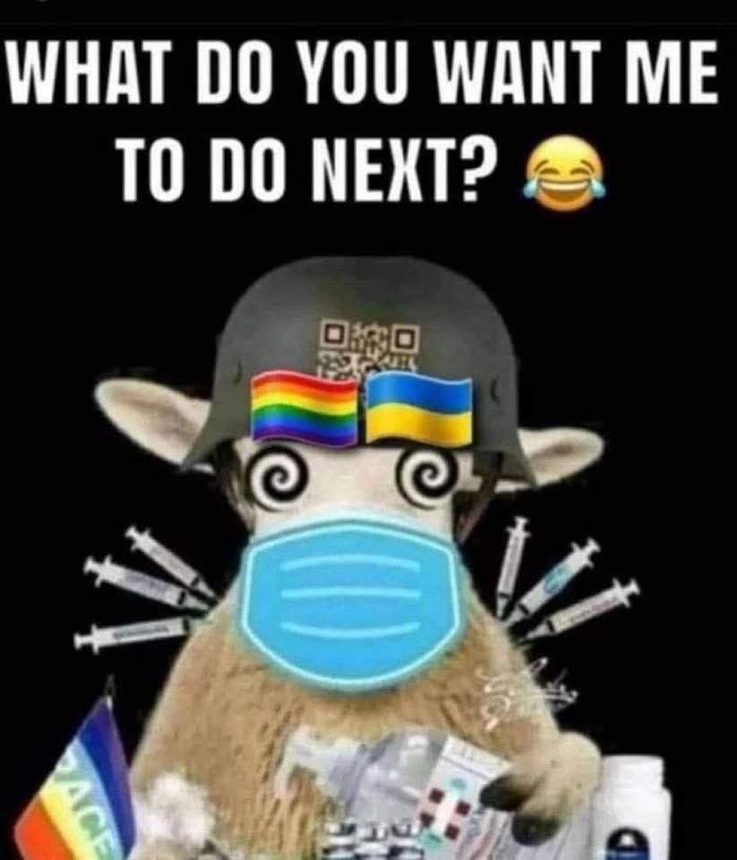 FB_IMG_1743881956516.jpeg