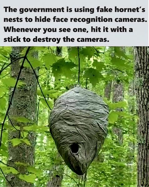 FB_IMG_1752774121850[1].jpg