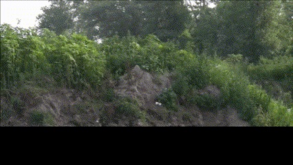 FCA3126D-AD55-48F7-A8D8-8175F0812234.jpeg