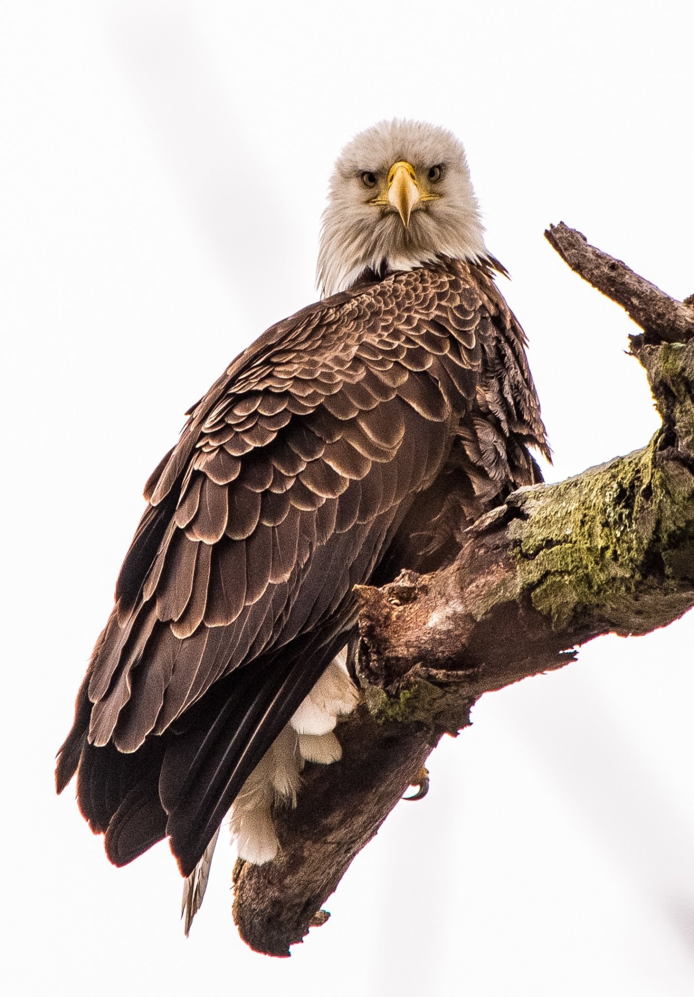 FD07197E-986B-40CE-9A53-B198C3FD060D.jpeg