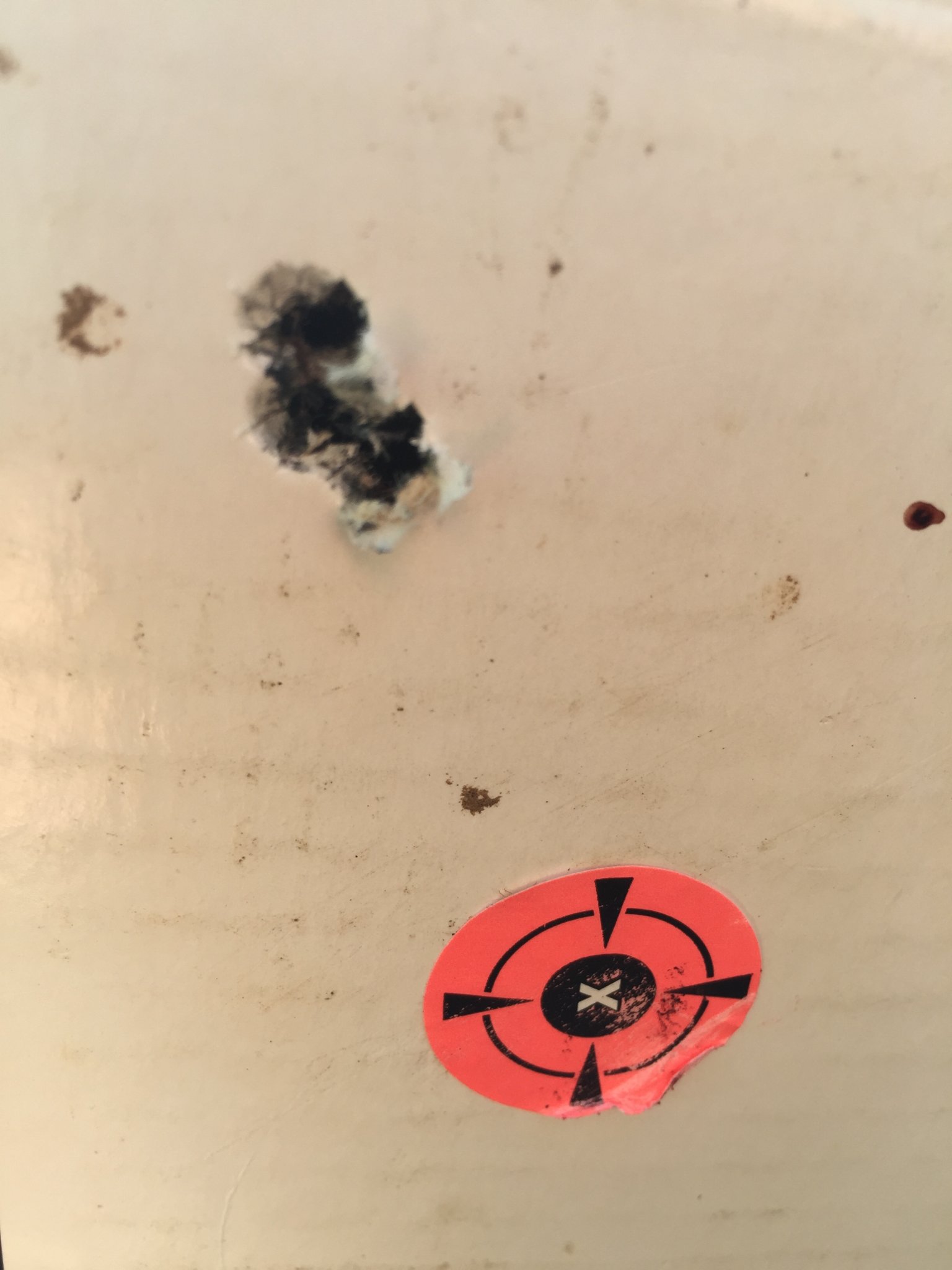 FDEC2D4B-82C0-4446-B64F-A38727B6854B.jpeg