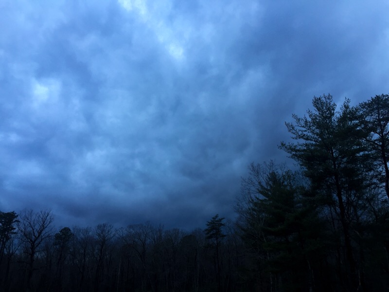 FE15468C-E5FA-466E-ADE8-36DDDAC60AC0.jpeg