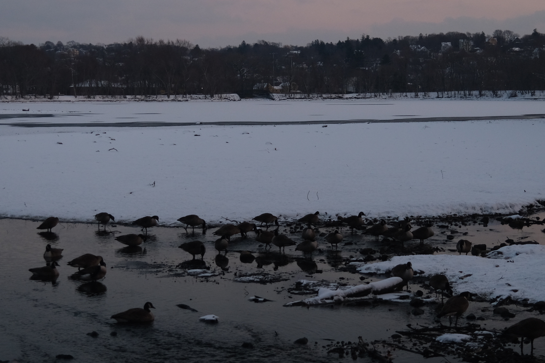 FE375580-D839-49EF-8A7F-290AFB2A83AF.jpeg
