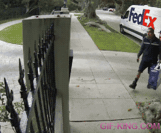 fed ex.gif