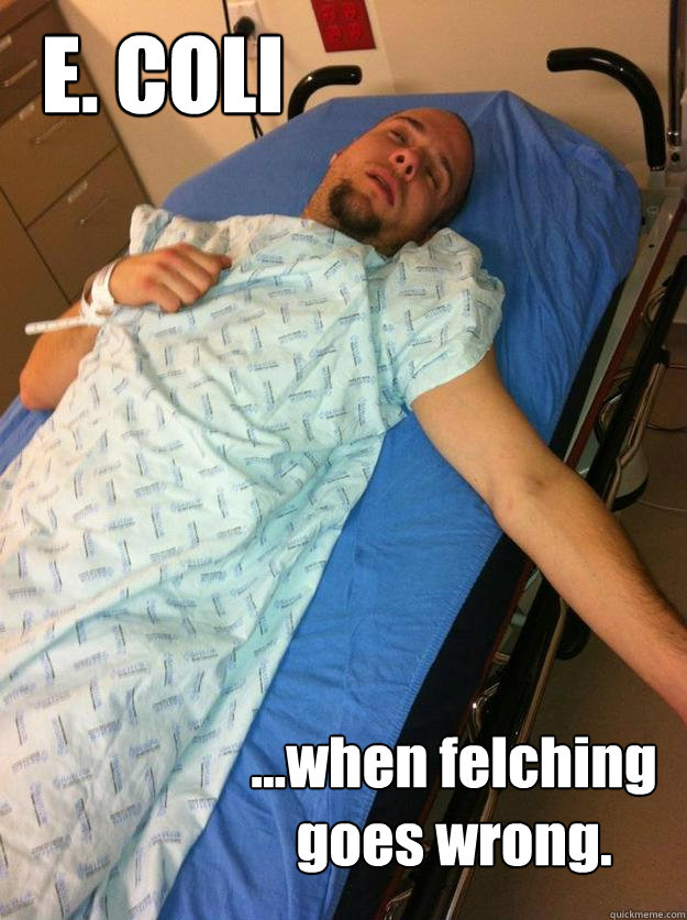 FelchingEColiMEME.jpeg