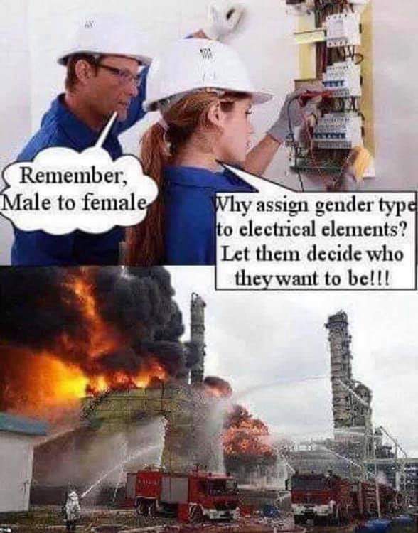 female.jpg