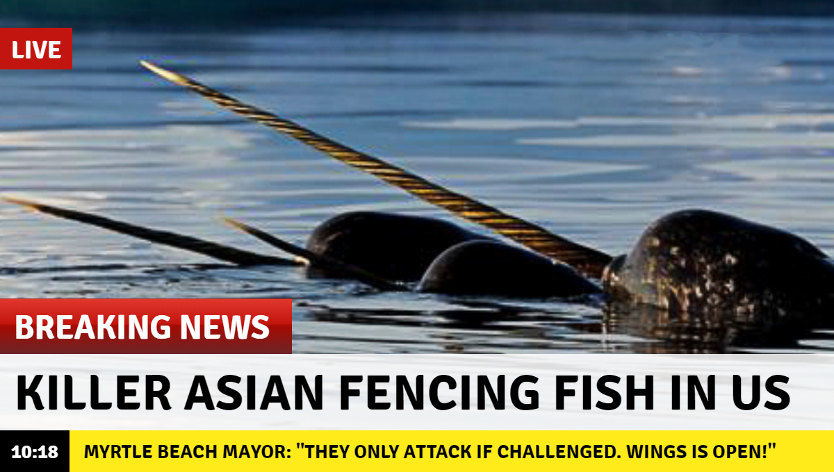 fencing fish.jpg