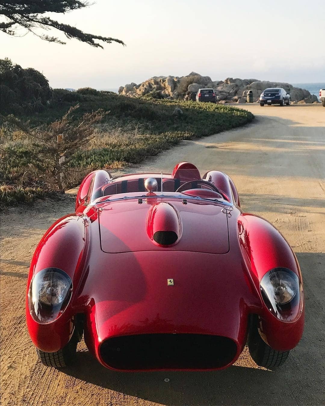 ferrari.jpg