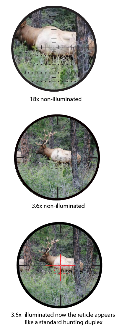 FFP example High zoom low zoom-01.png