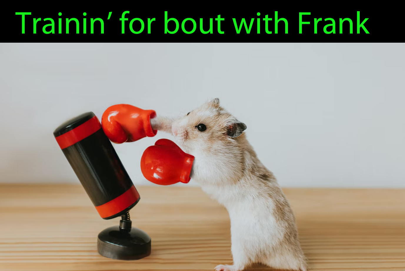 FG bout ed.png