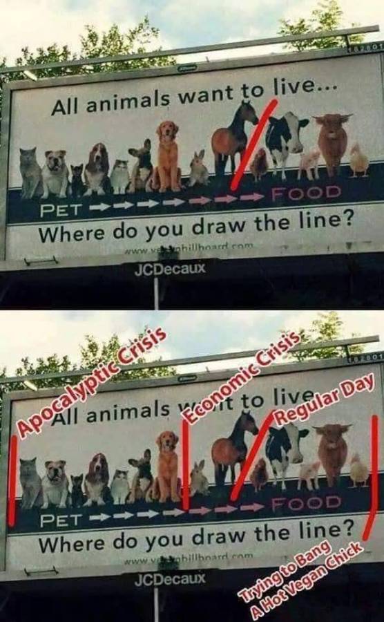 FgIPTVdVEAA4--n_jpg-2579452.jpeg