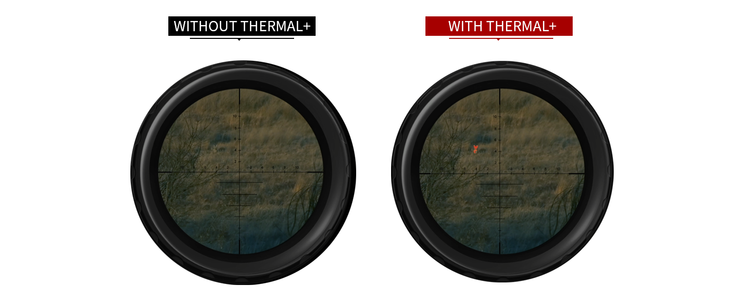fig 2.png