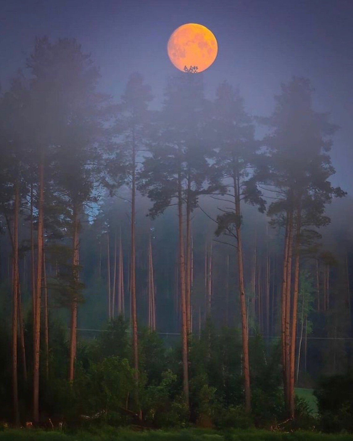 finland moon.jpeg