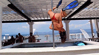 fins.gif