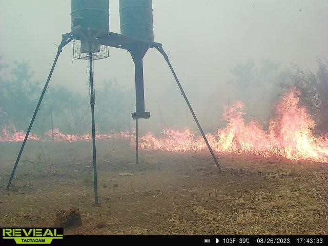 fire.jpg