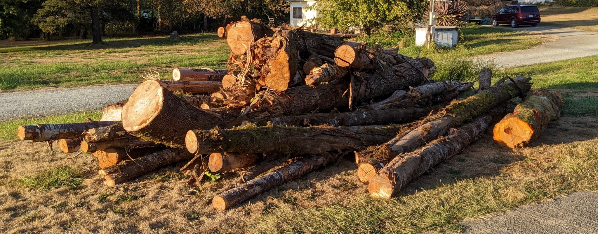 fire wood.jpg