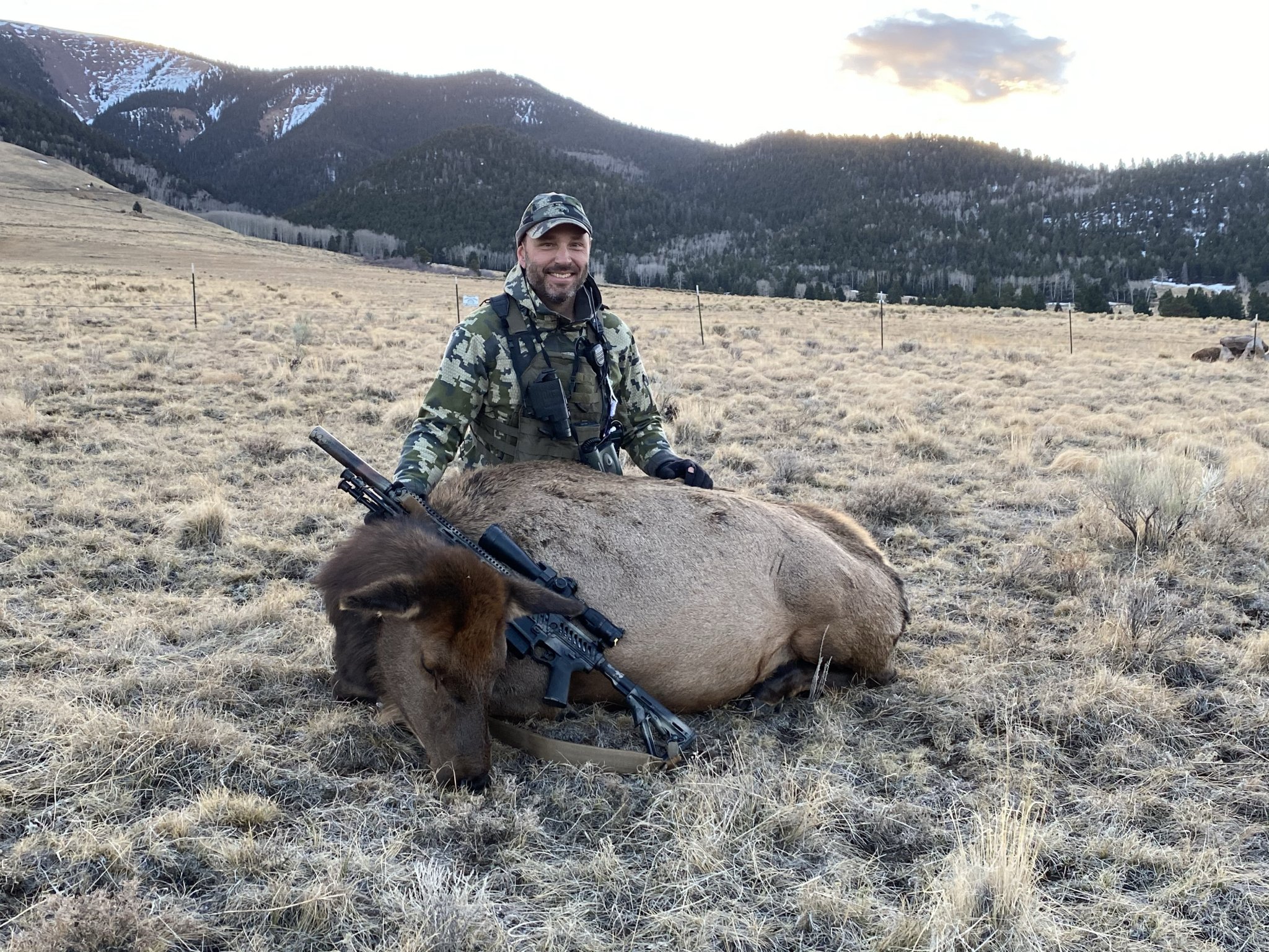 FirstElk.jpeg