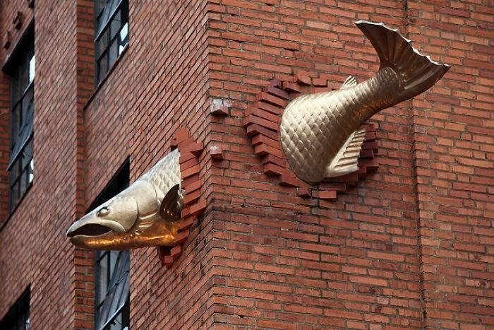 fish.jpg