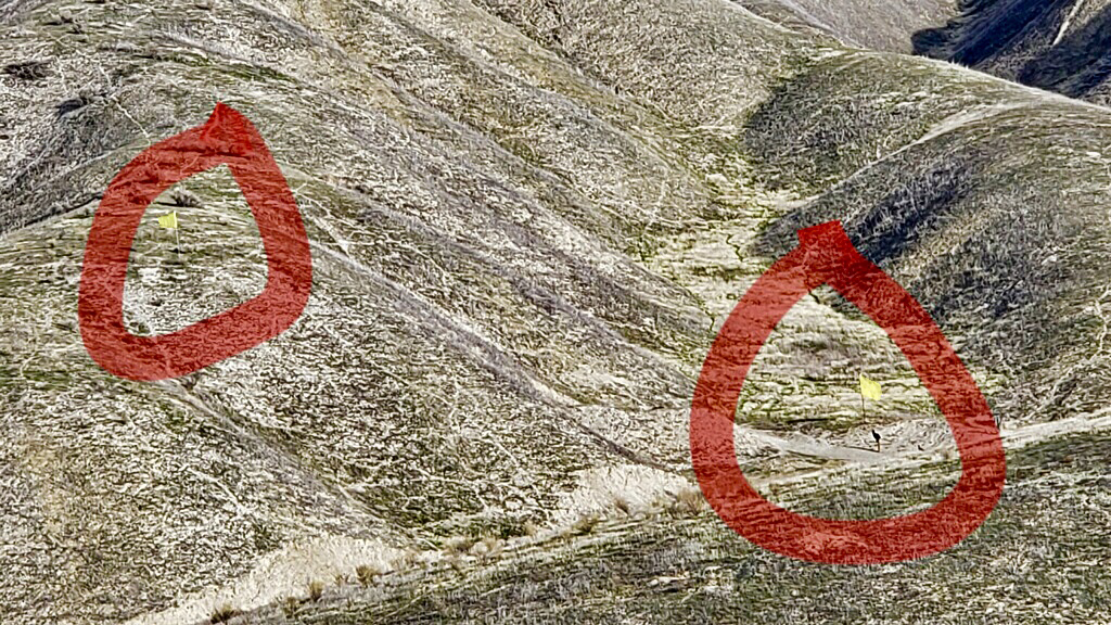 flags.jpg