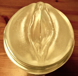 Fleshlight-IceLady-31-300x292.jpg