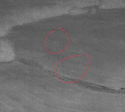 Flir pic.jpg