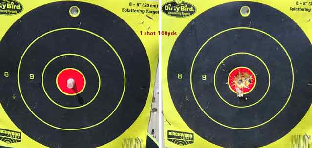 Flo-one-shot-at-100yds.jpg