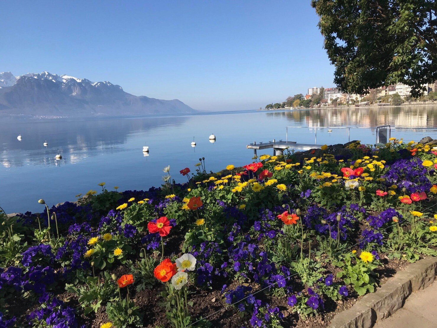 flowers lake.jpeg