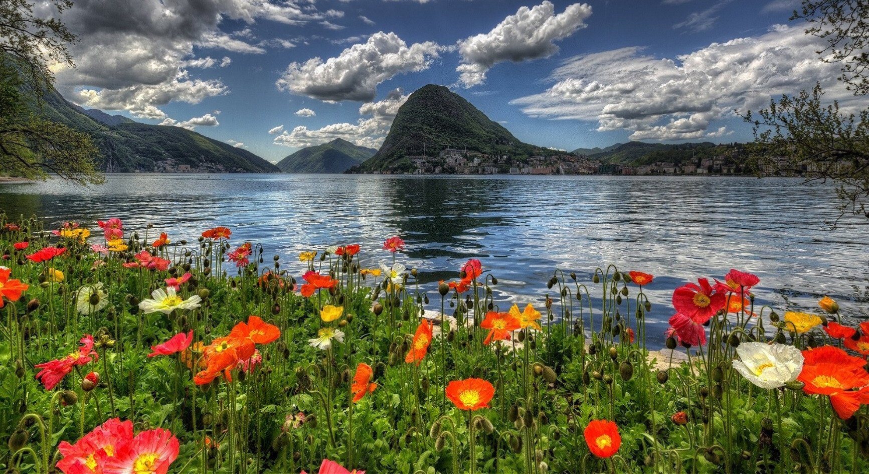flowers lake.jpeg