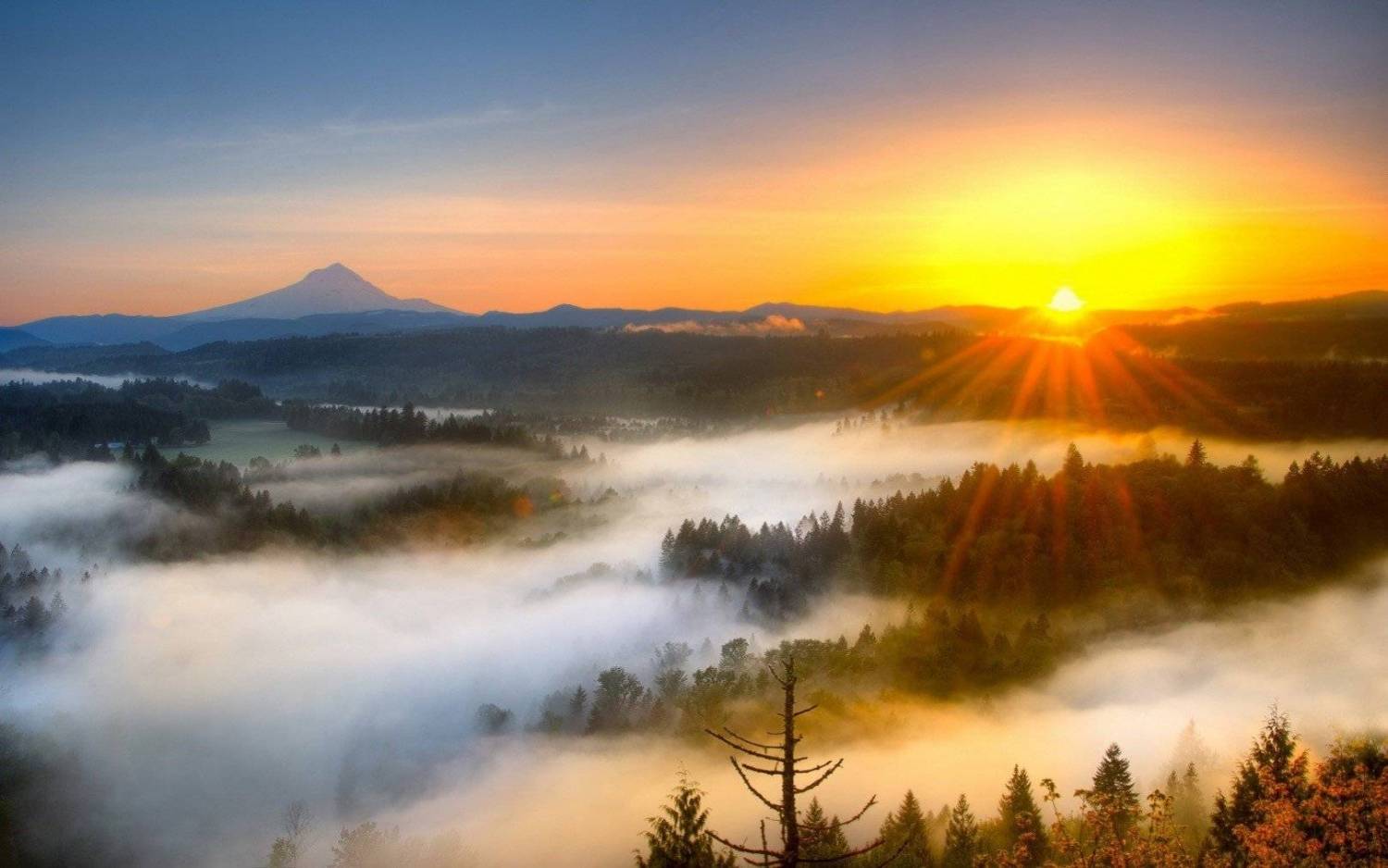 fog mtns.jpeg