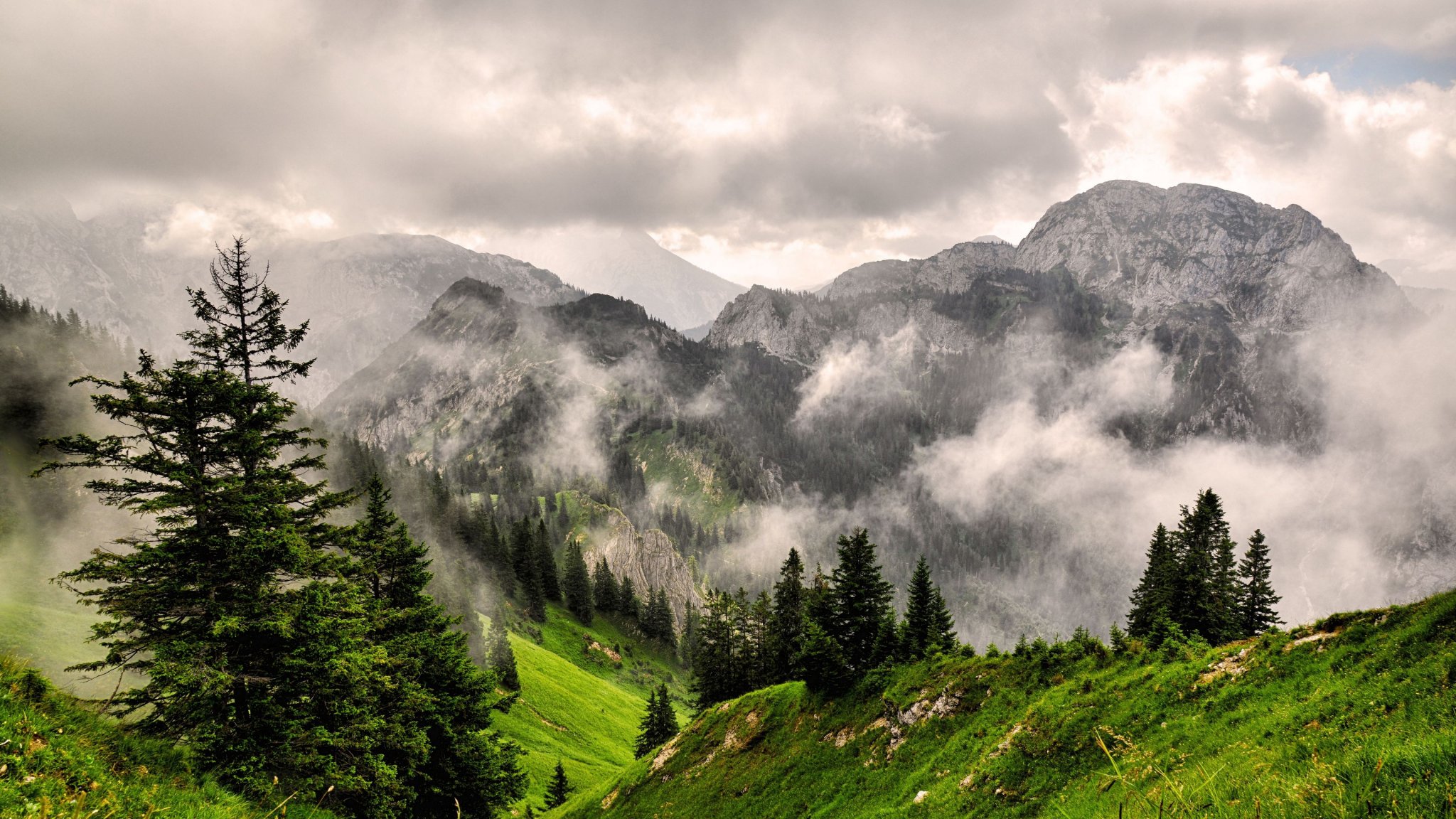 fog_mountains_forest.jpg