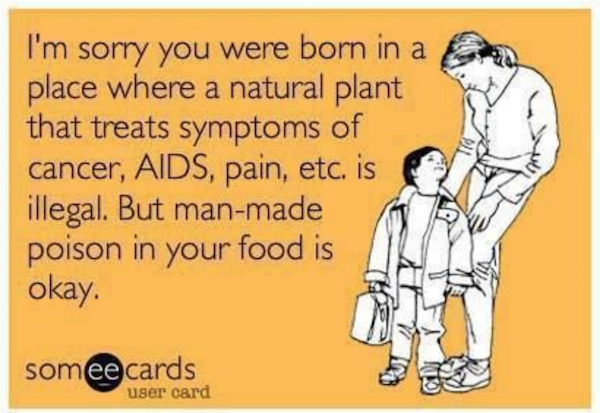 forbid_%20natural_medicine_greenmedinfo_jpg.png