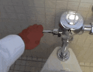 ForcefulMistyDikkops-max-1mb.gif