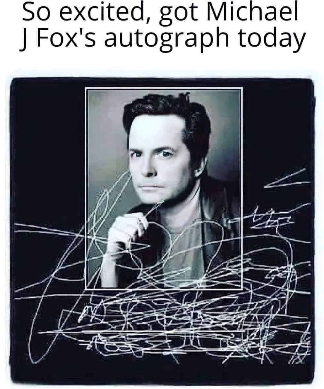 fox.jpg