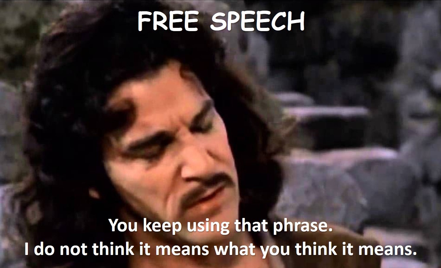Free Speech what it means.jpg